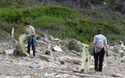 Terenska nastava – Dugi otok